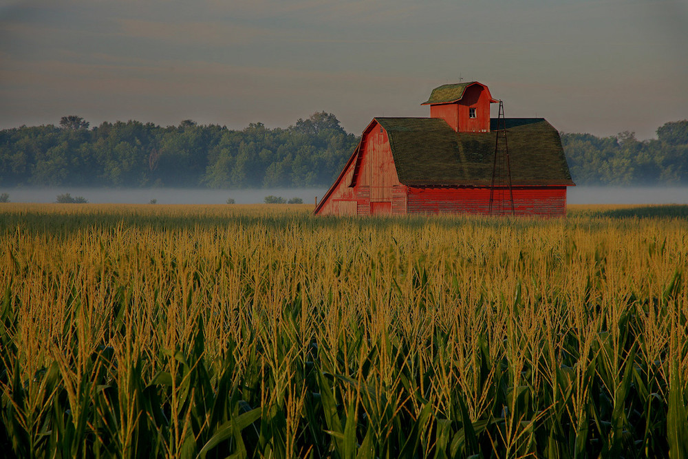 farm and crop insurance in St. Louis  MO | LP Miceli